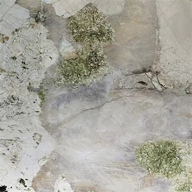 Brasiliansk grønne diamant Patagonien